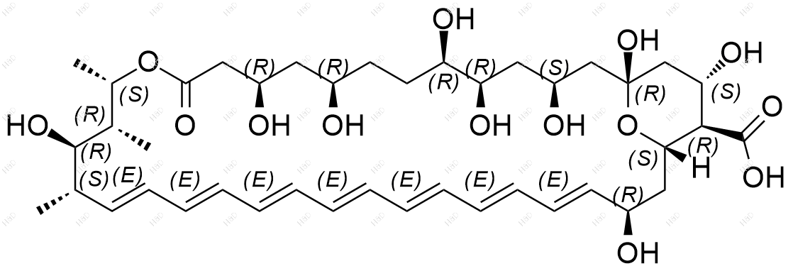 两性霉素B杂质6