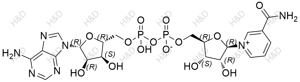 烟酰胺腺嘌呤二核苷酸