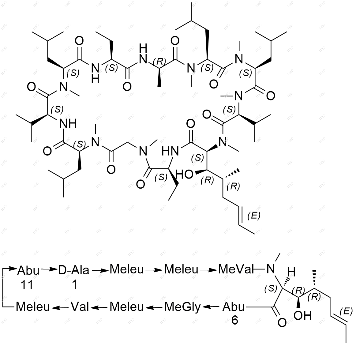 环孢素EP杂质E
